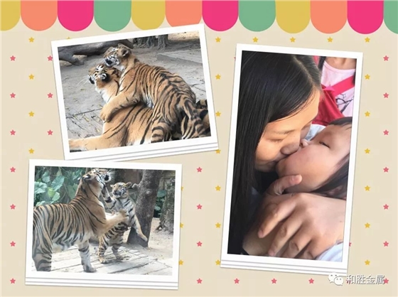 母愛.jpg 母愛.jpg